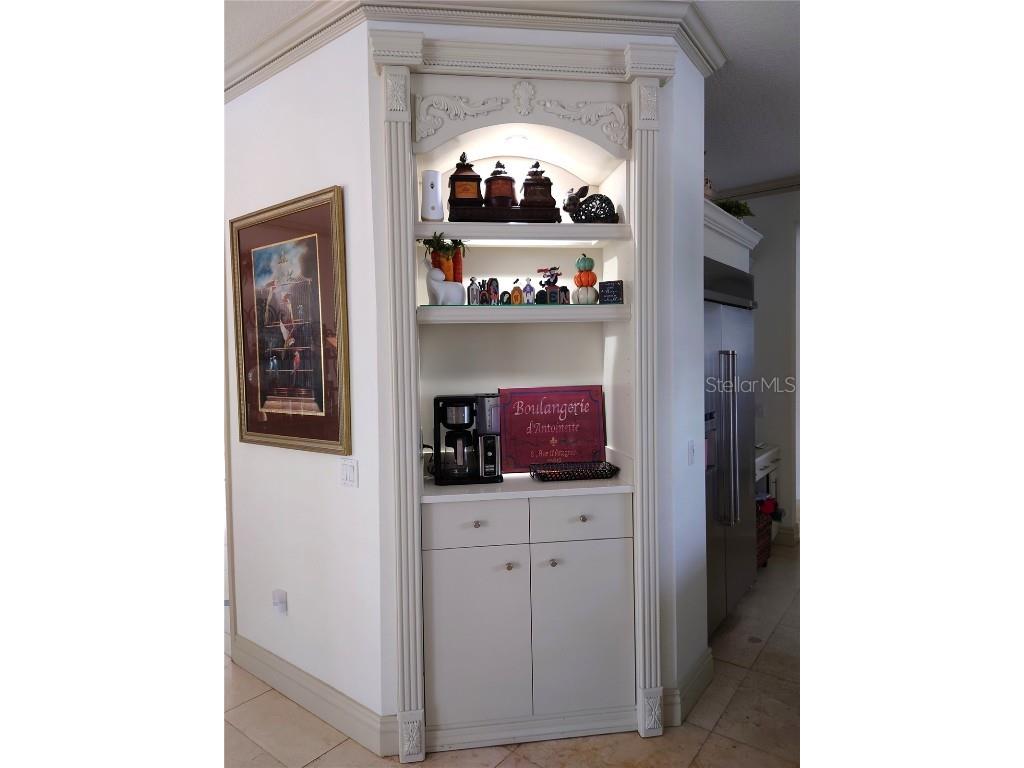 10628 Pontofino Circle Trinity FL 34655 TB8434178 image18