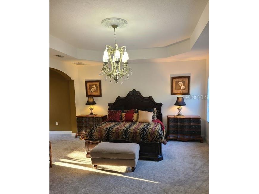 10628 Pontofino Circle Trinity FL 34655 TB8434178 image26