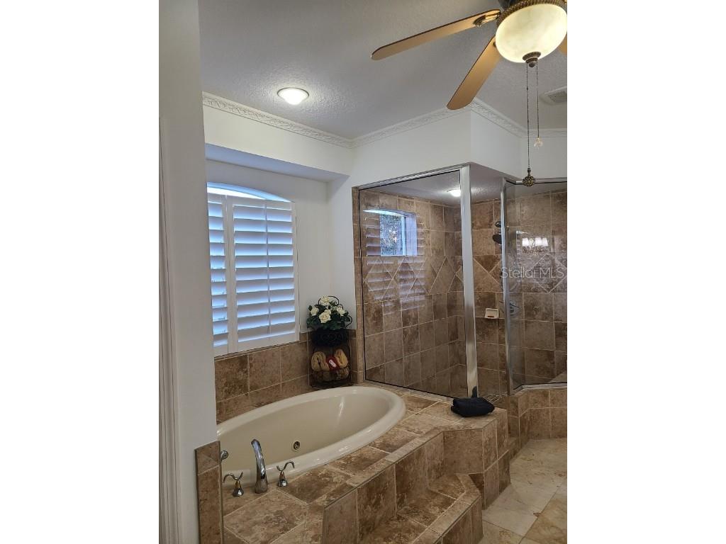 10628 Pontofino Circle Trinity FL 34655 TB8434178 image30