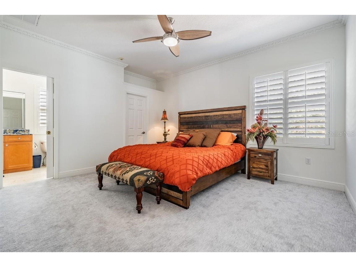 10628 Pontofino Circle Trinity FL 34655 TB8434178 image34