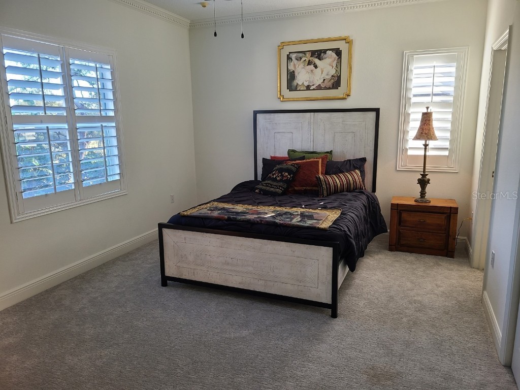 10628 Pontofino Circle Trinity FL 34655 TB8434178 image36