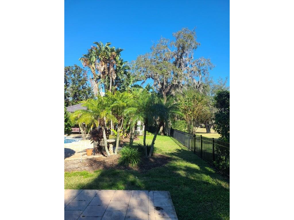 10628 Pontofino Circle Trinity FL 34655 TB8434178 image41