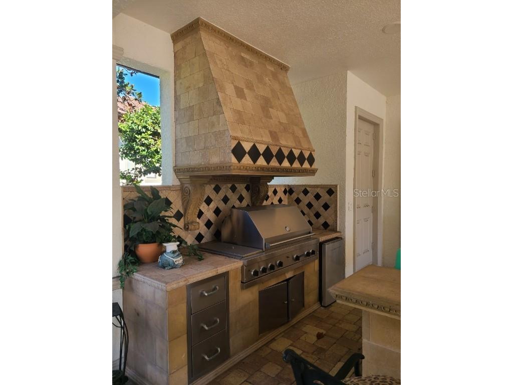 10628 Pontofino Circle Trinity FL 34655 TB8434178 image46