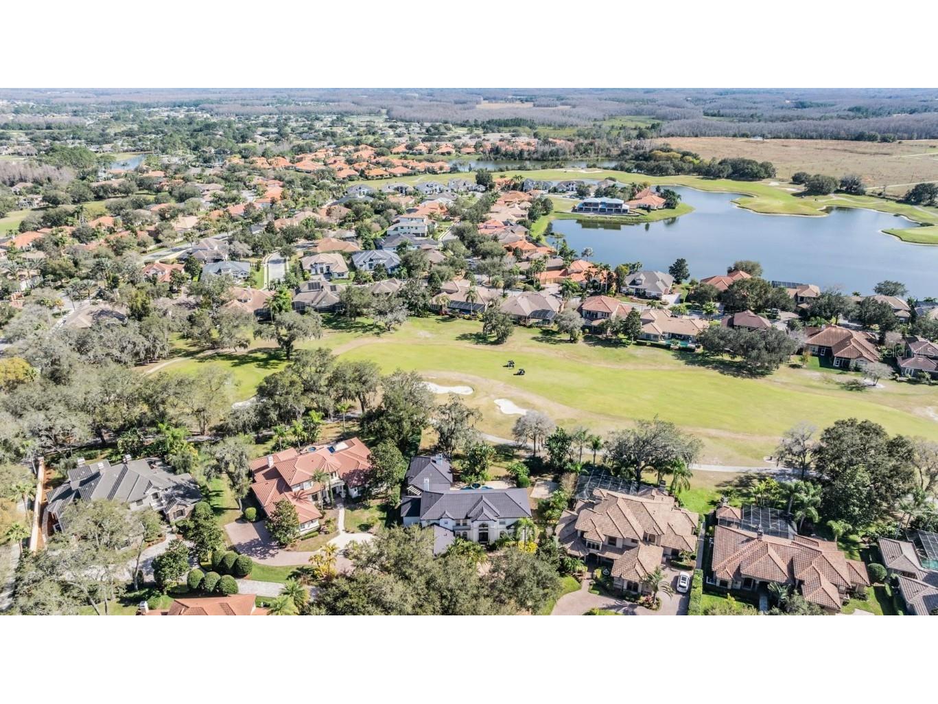 10628 Pontofino Circle Trinity FL 34655 TB8434178 image5