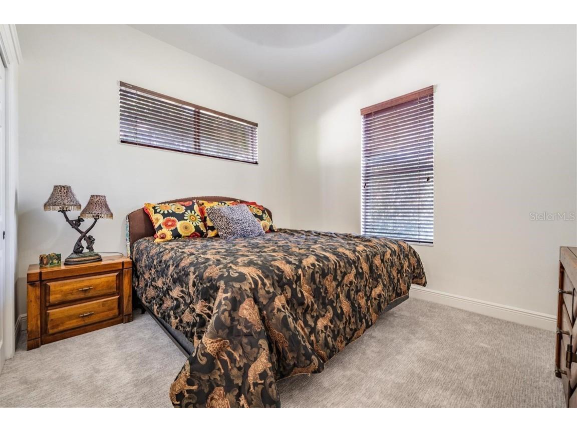 10628 Pontofino Circle Trinity FL 34655 TB8434178 image59