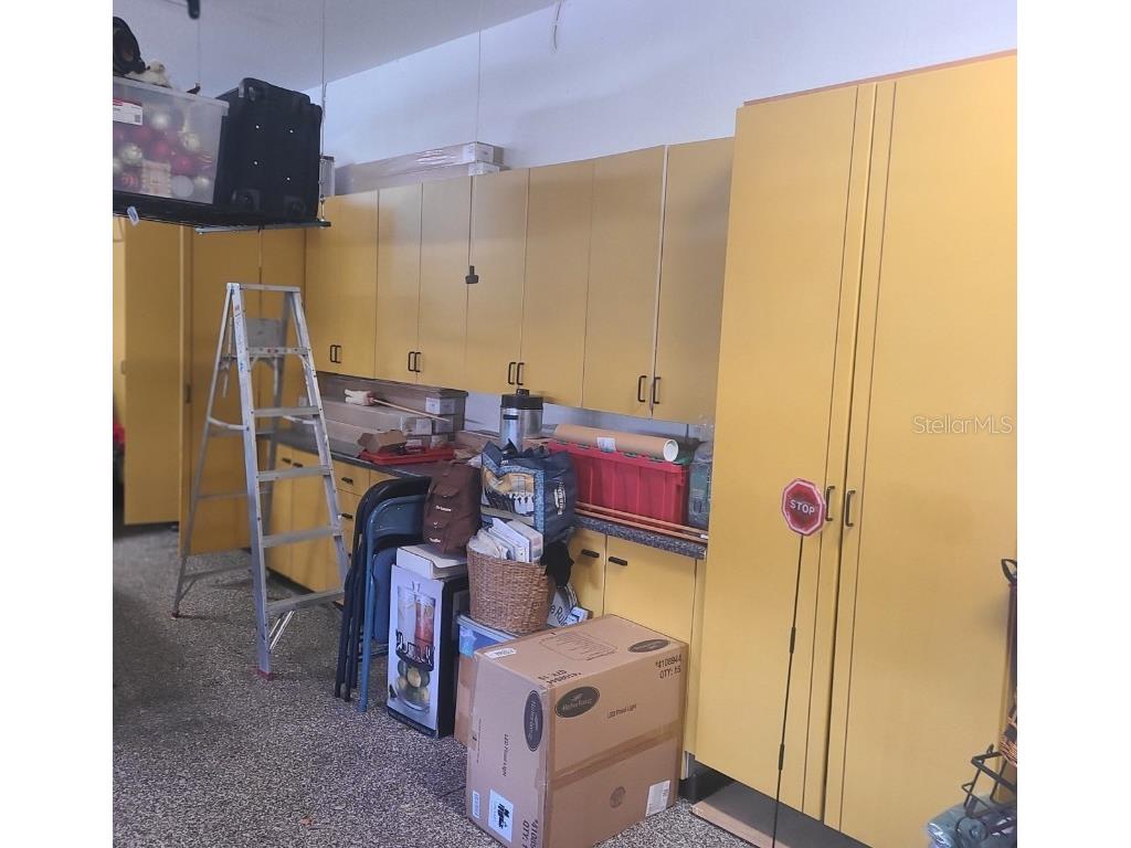 10628 Pontofino Circle Trinity FL 34655 TB8434178 image61