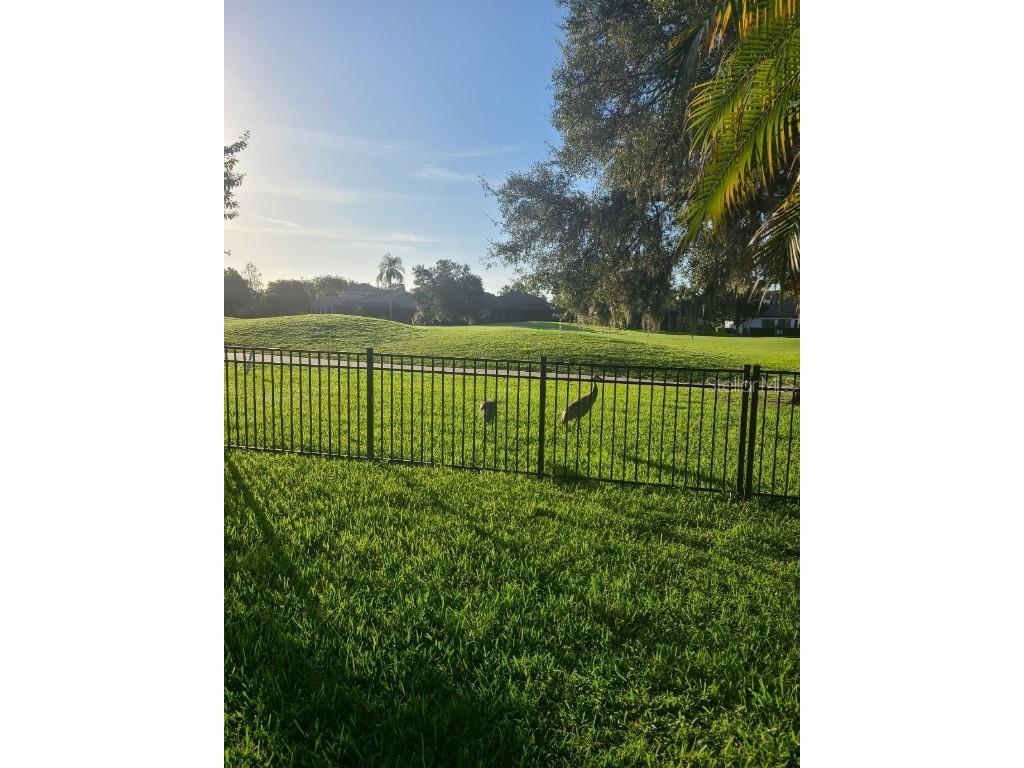 10628 Pontofino Circle Trinity FL 34655 TB8434178 image65