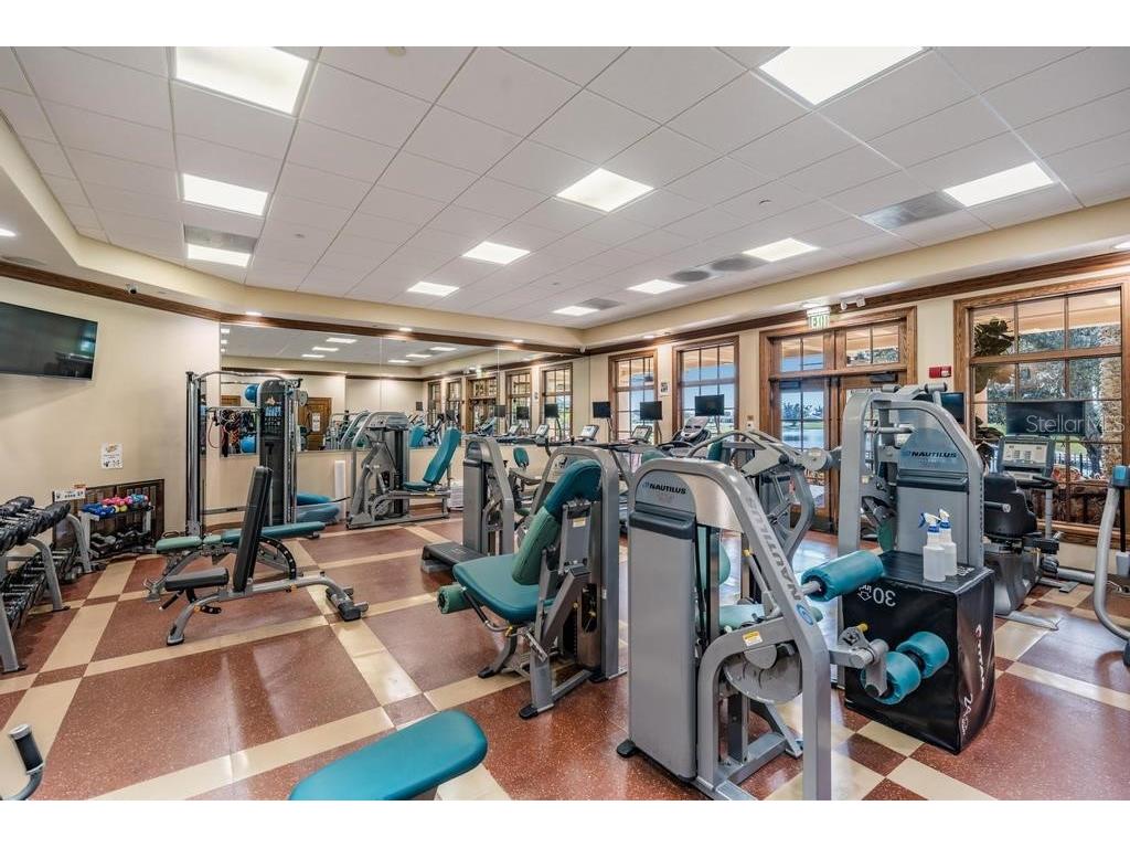 10628 Pontofino Circle Trinity FL 34655 TB8434178 image74