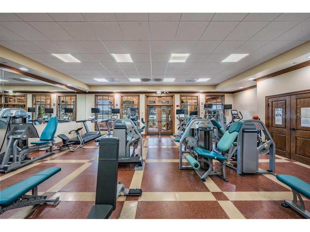 10628 Pontofino Circle Trinity FL 34655 TB8434178 image75