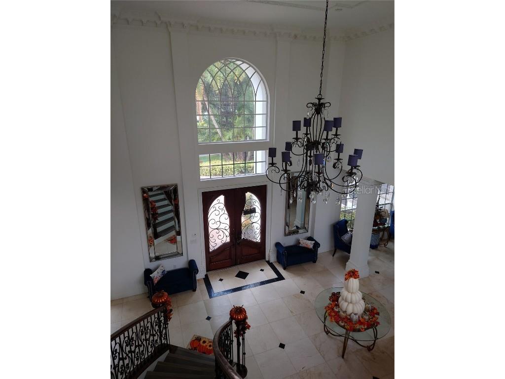 10628 Pontofino Circle Trinity FL 34655 TB8434178 image8