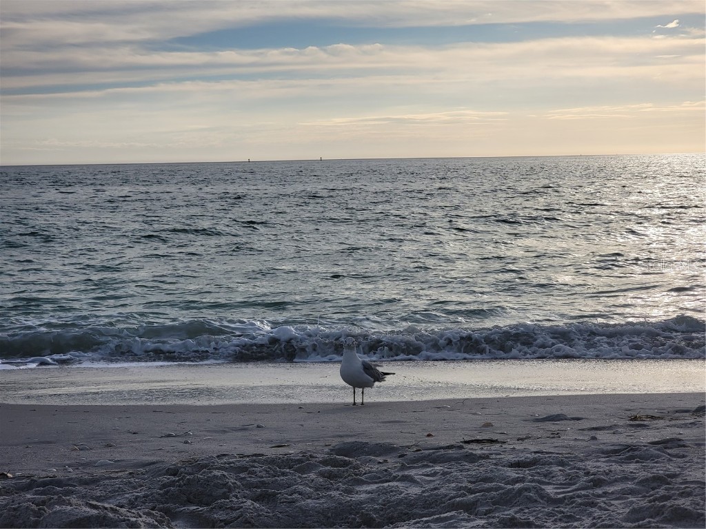 10628 Poughkeepsie Port Charlotte FL 33981 - SANTA CRUZ CANAL N6137051 image40