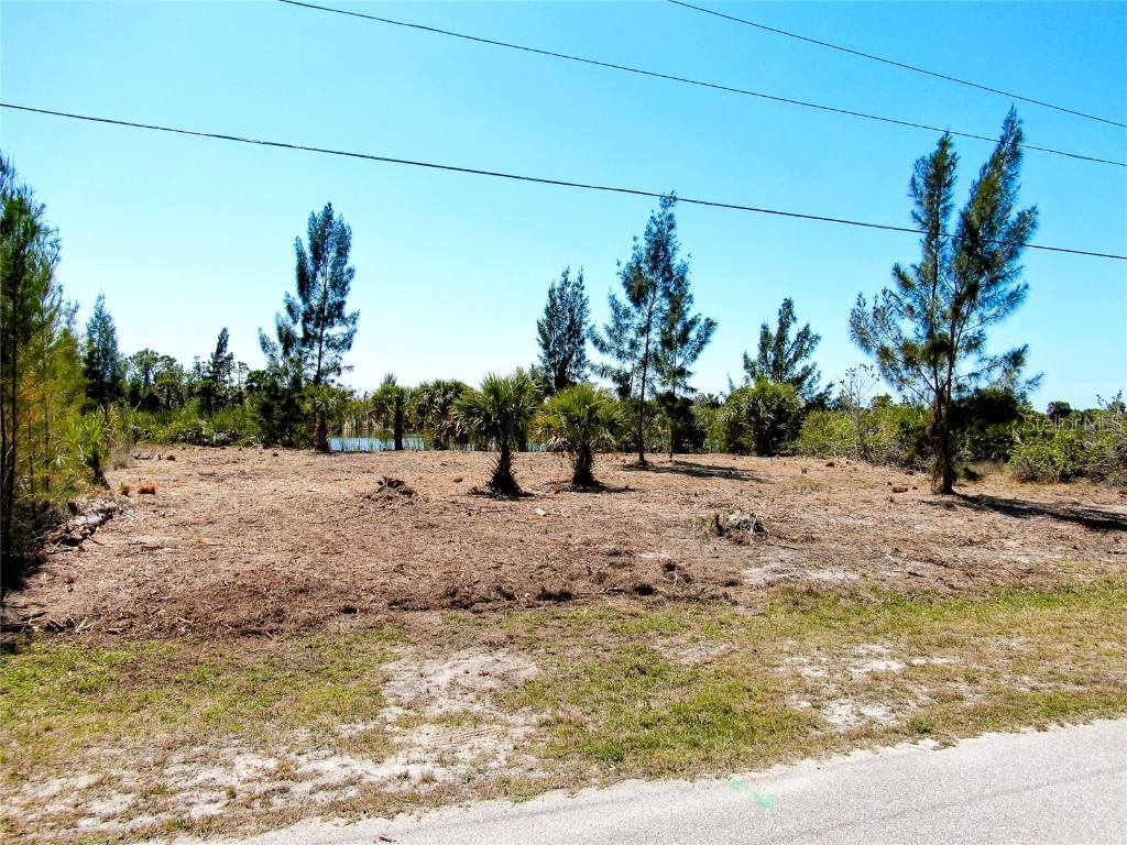 10628 Poughkeepsie Port Charlotte FL 33981 - SANTA CRUZ CANAL N6137051 image44