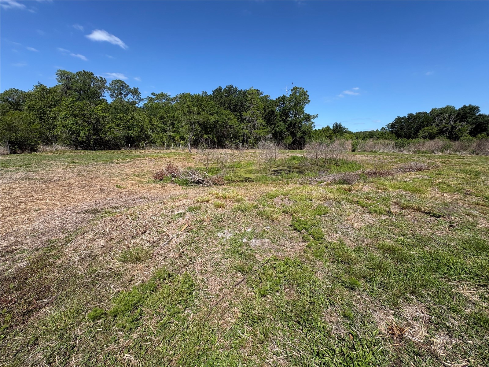 10628 Sportsman Trail Lakeland FL 33809 B4902238 image22