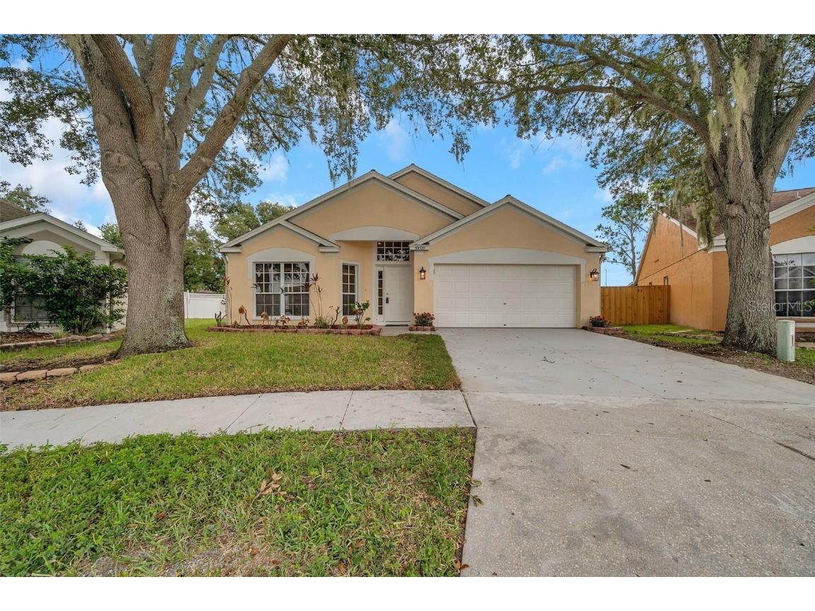 10628 Walker Vista Drive Riverview FL 33578 T3478887 image1