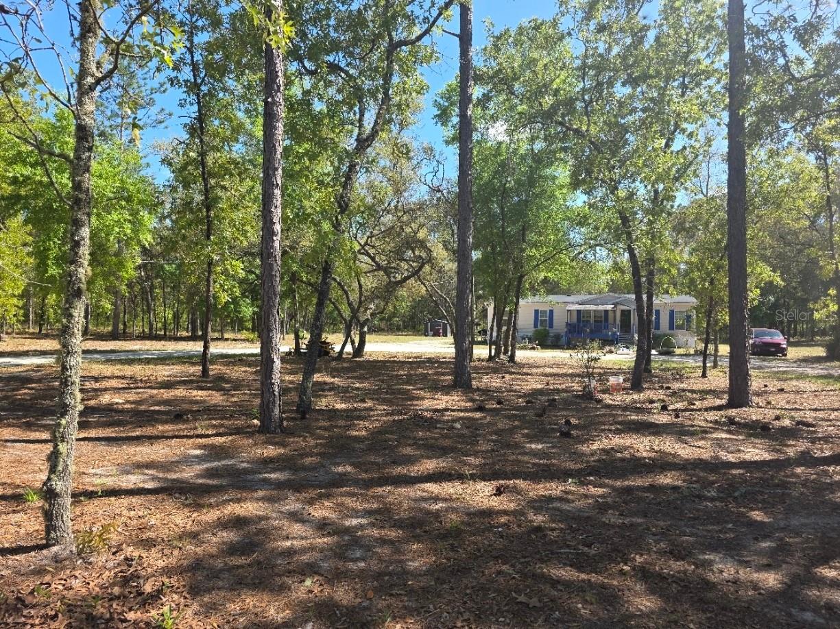 10630 NE 80th Street Bronson FL 32621 TB8484993 image18