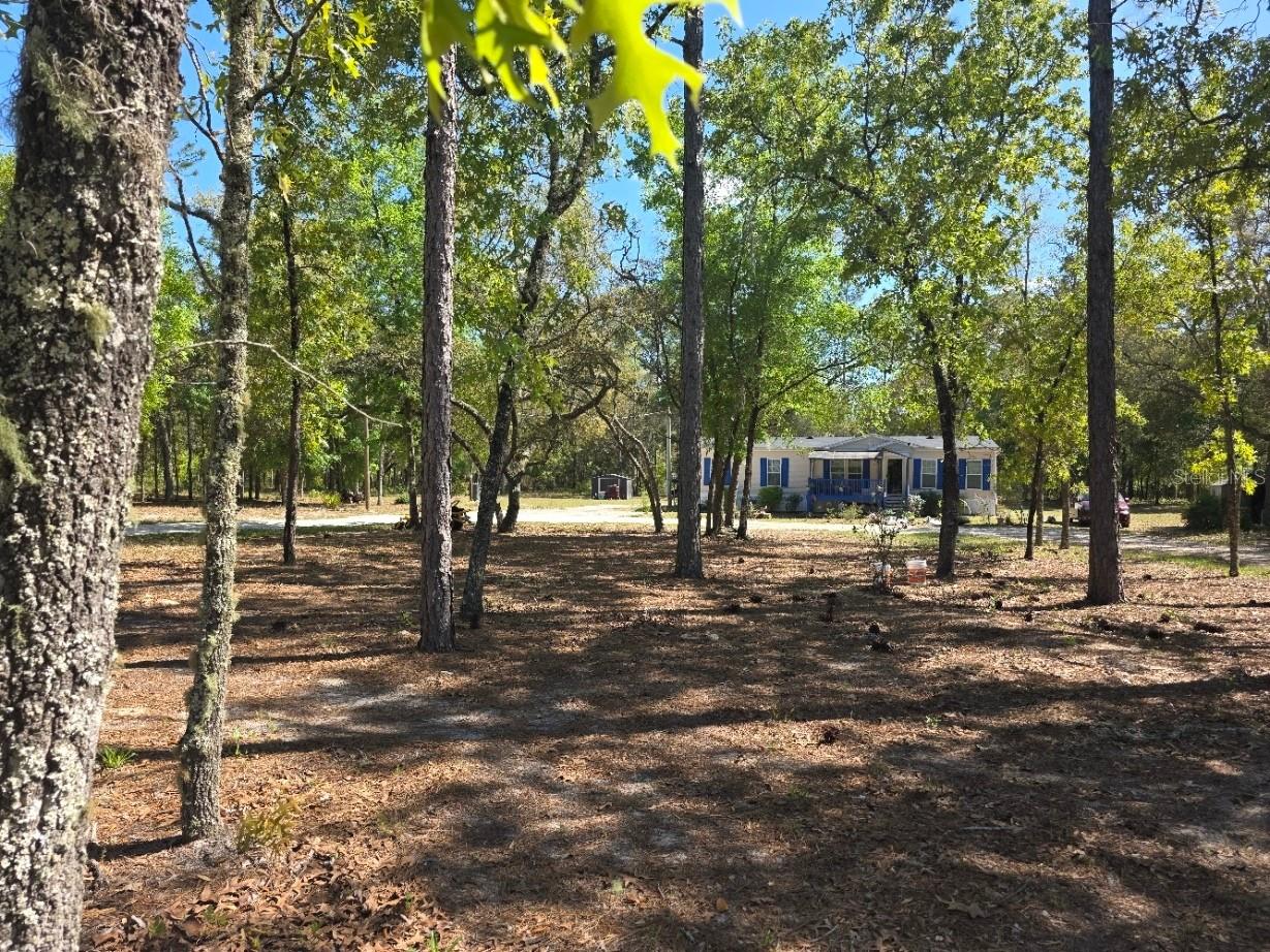 10630 NE 80th Street Bronson FL 32621 TB8484993 image3