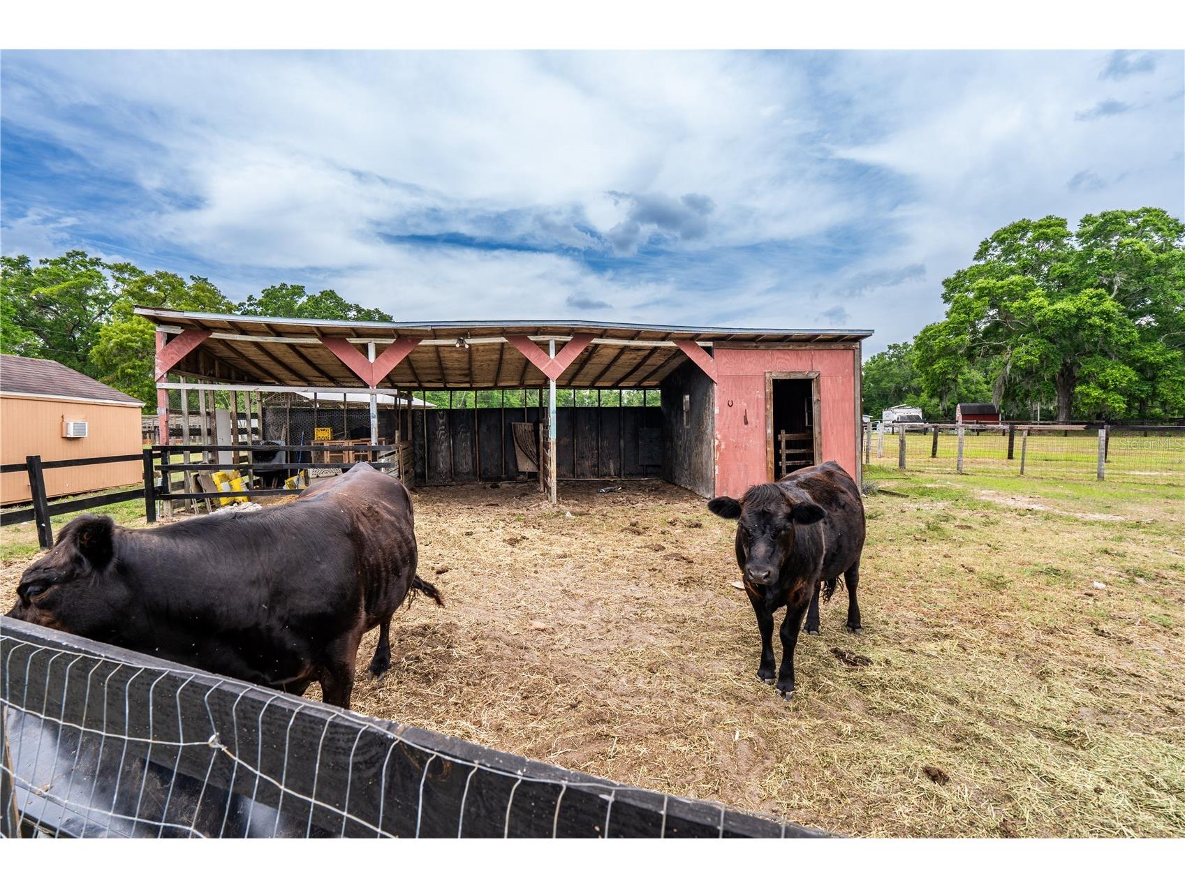 10631 W Highway 40 Ocala FL 34482 OM700216 image11