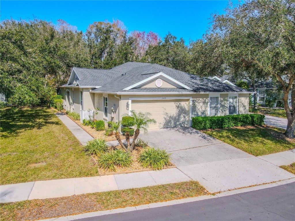 10632 Ashford Oaks Drive Tampa FL 33625 TB8344937 image1