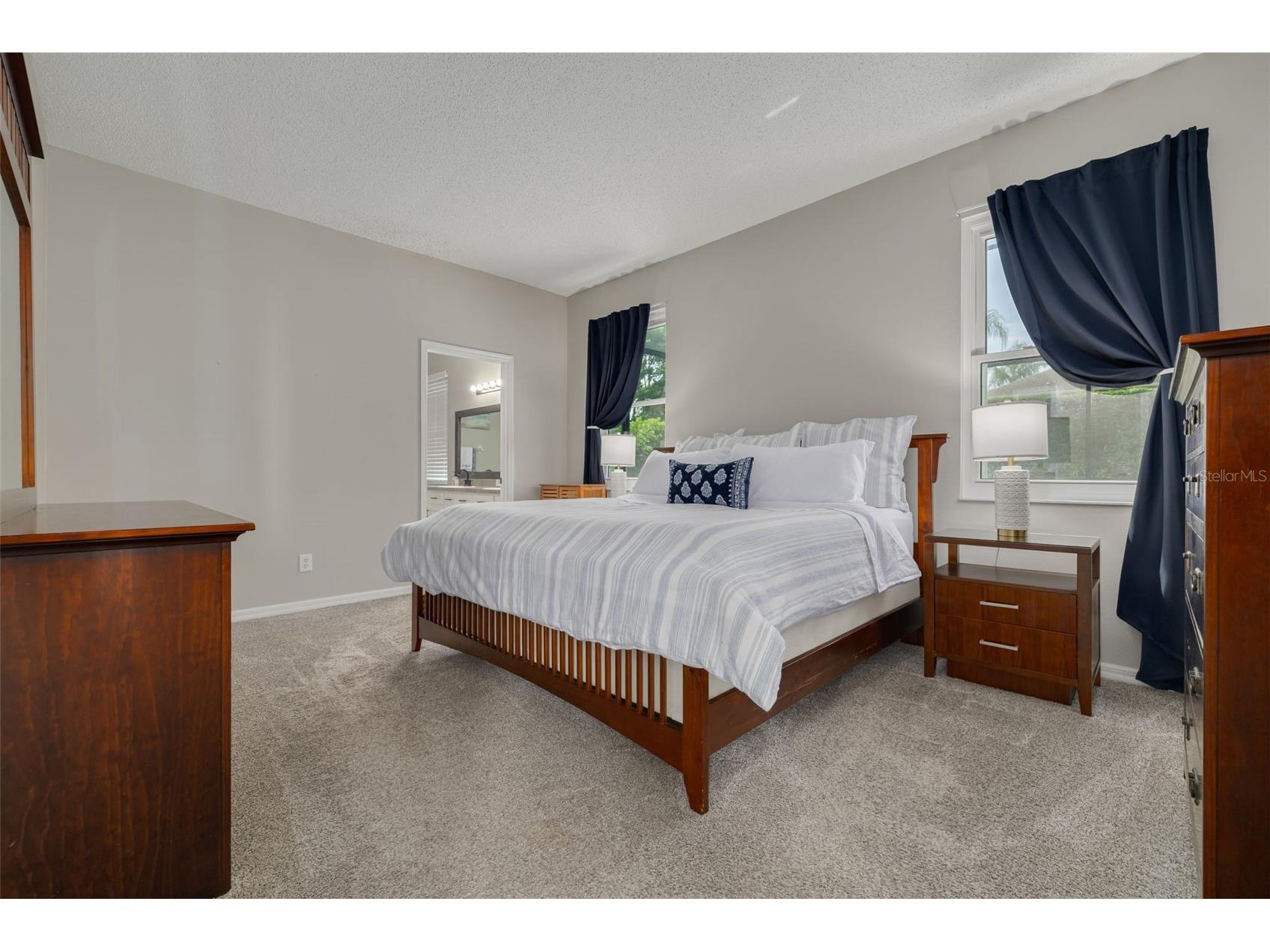 10632 Firebrick Court Trinity FL 34655 TB8502180 image17