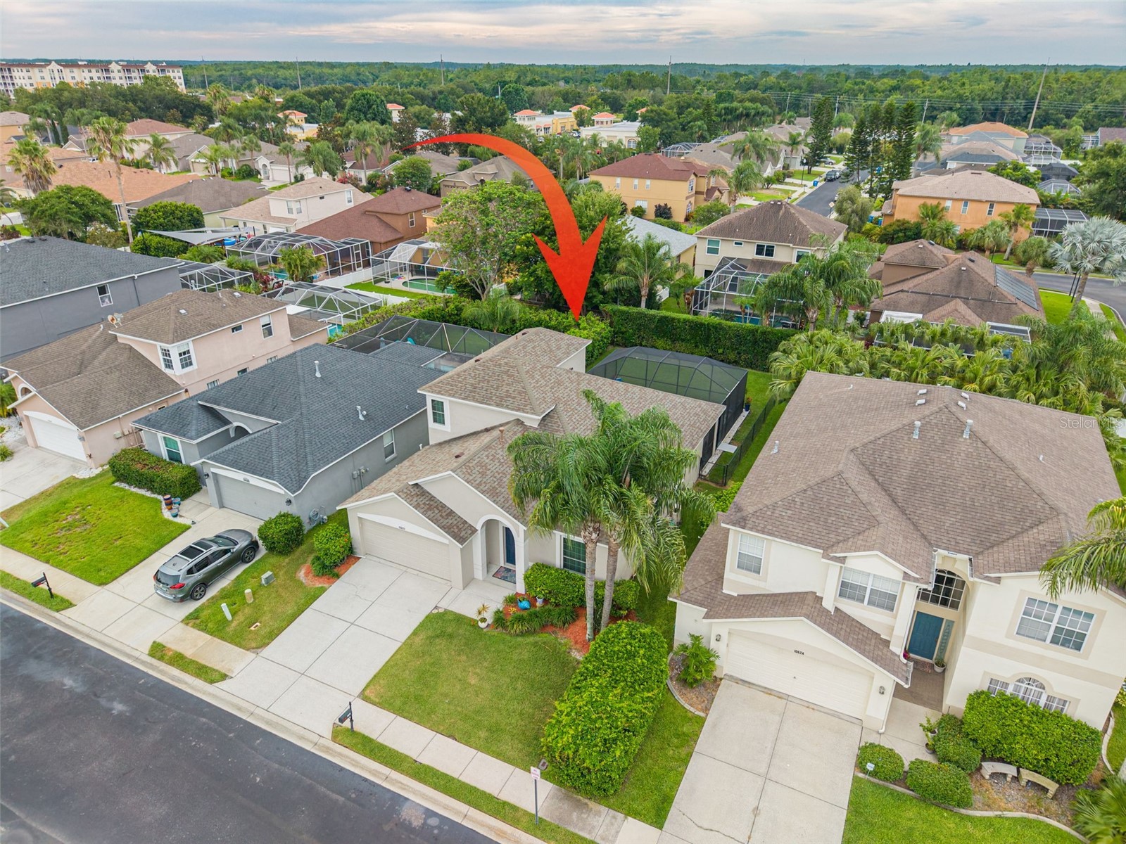 10632 Firebrick Court Trinity FL 34655 TB8502180 image2