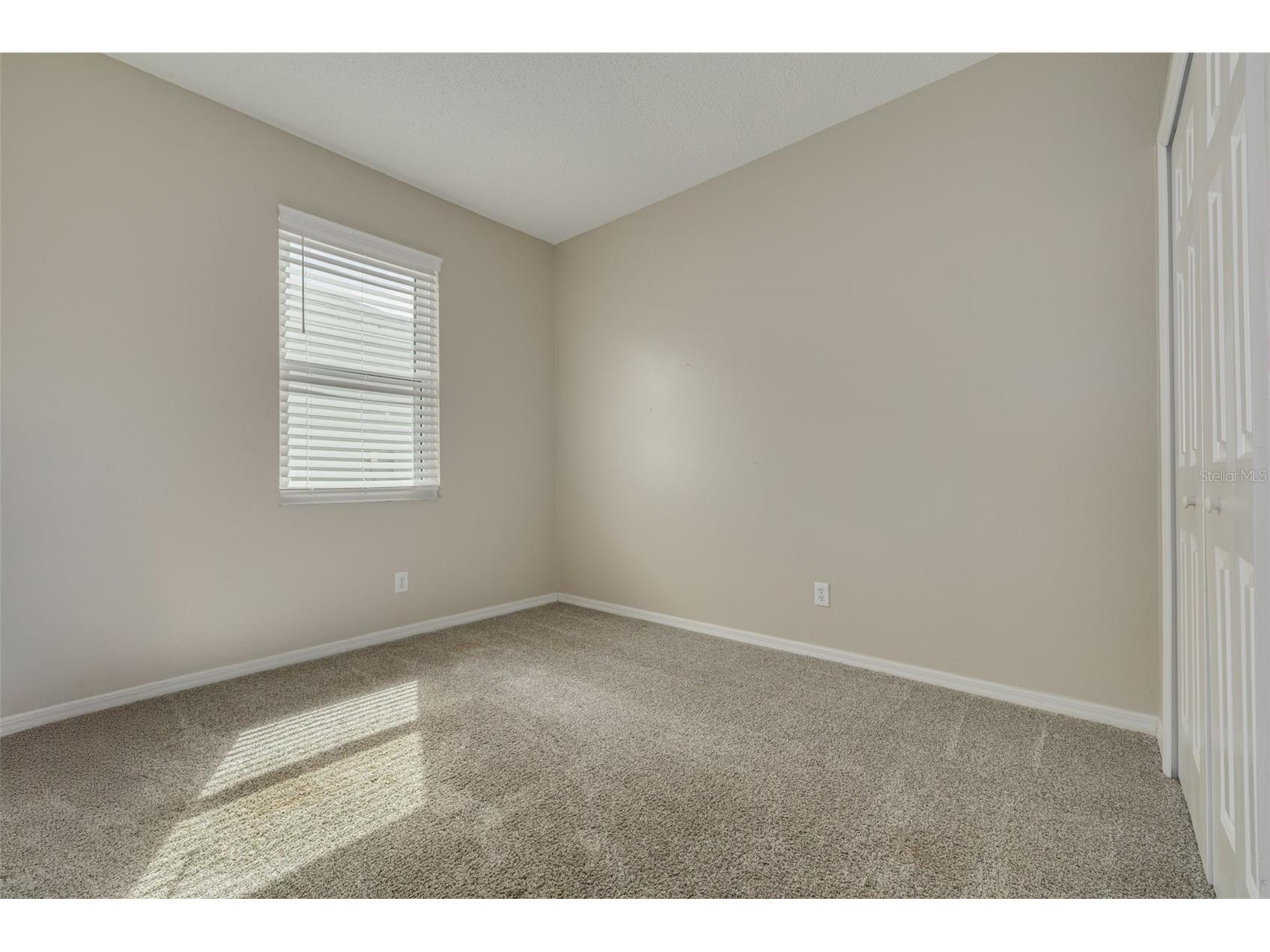 10632 Firebrick Court Trinity FL 34655 TB8502180 image26