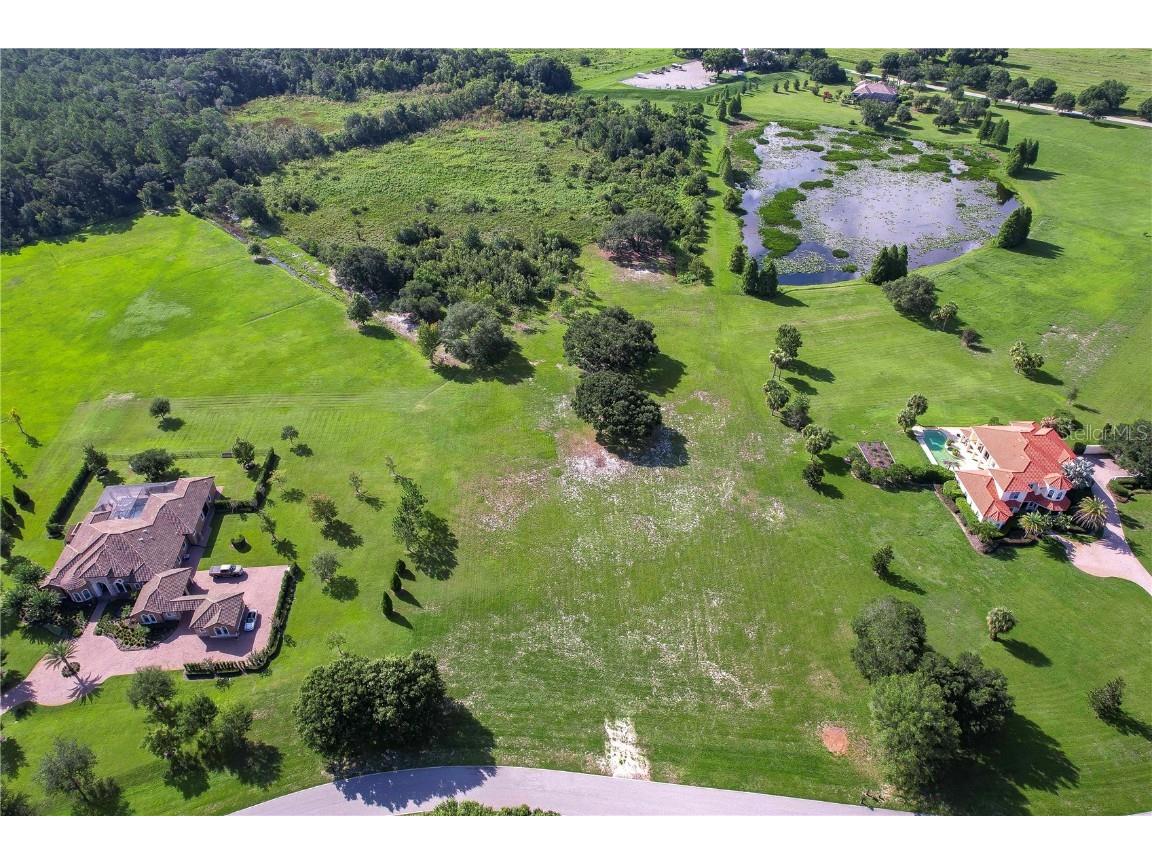 10633 Broadland Pass Thonotosassa FL 33592 T3460879 image1