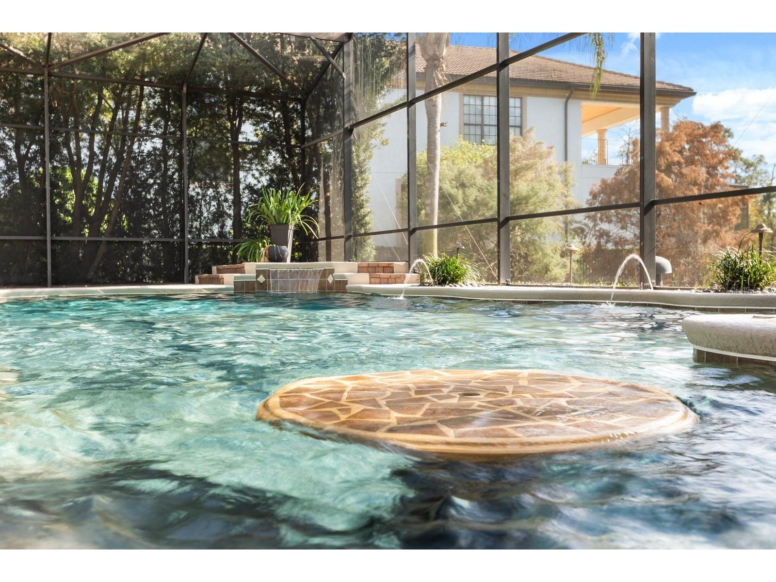 10633 Lago Bella Drive Orlando FL 32832 - LAKE WHIPPOORWILL O6410808 image72