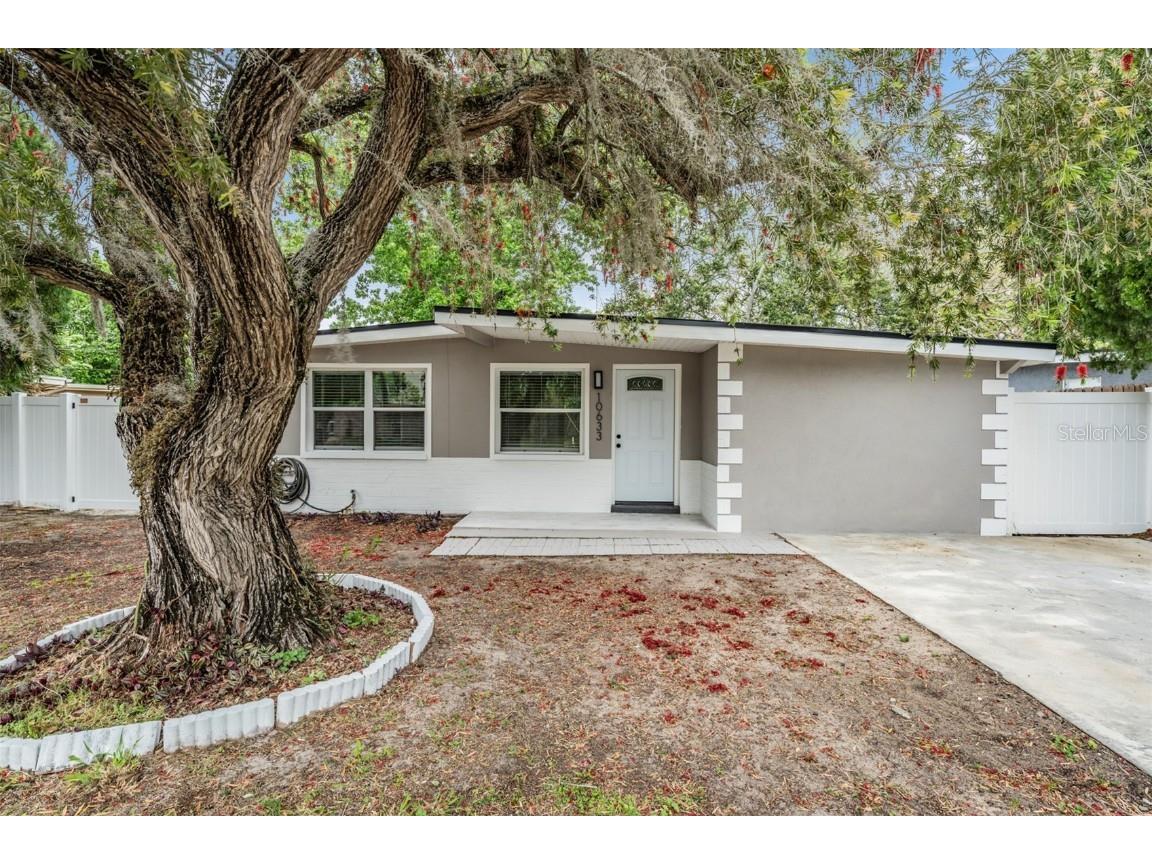 10633 Raffia Drive Port Richey FL 34668 T3513805 image1