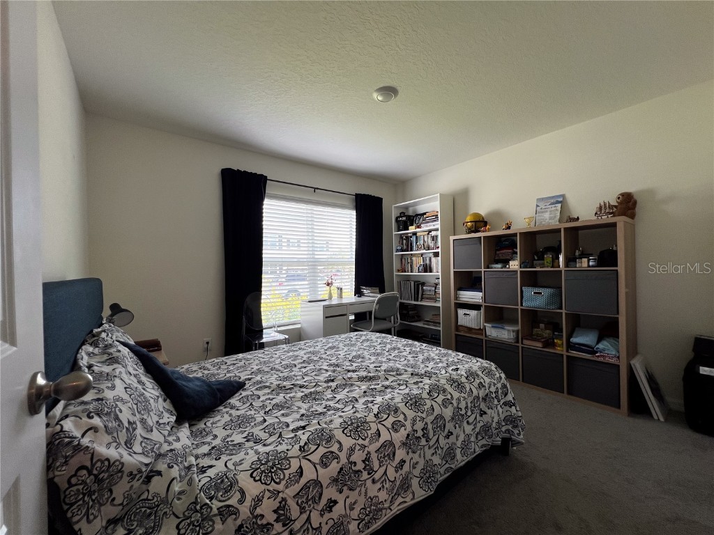 10634 Chippewa Drive Parrish FL 34219 TB8450511 image29