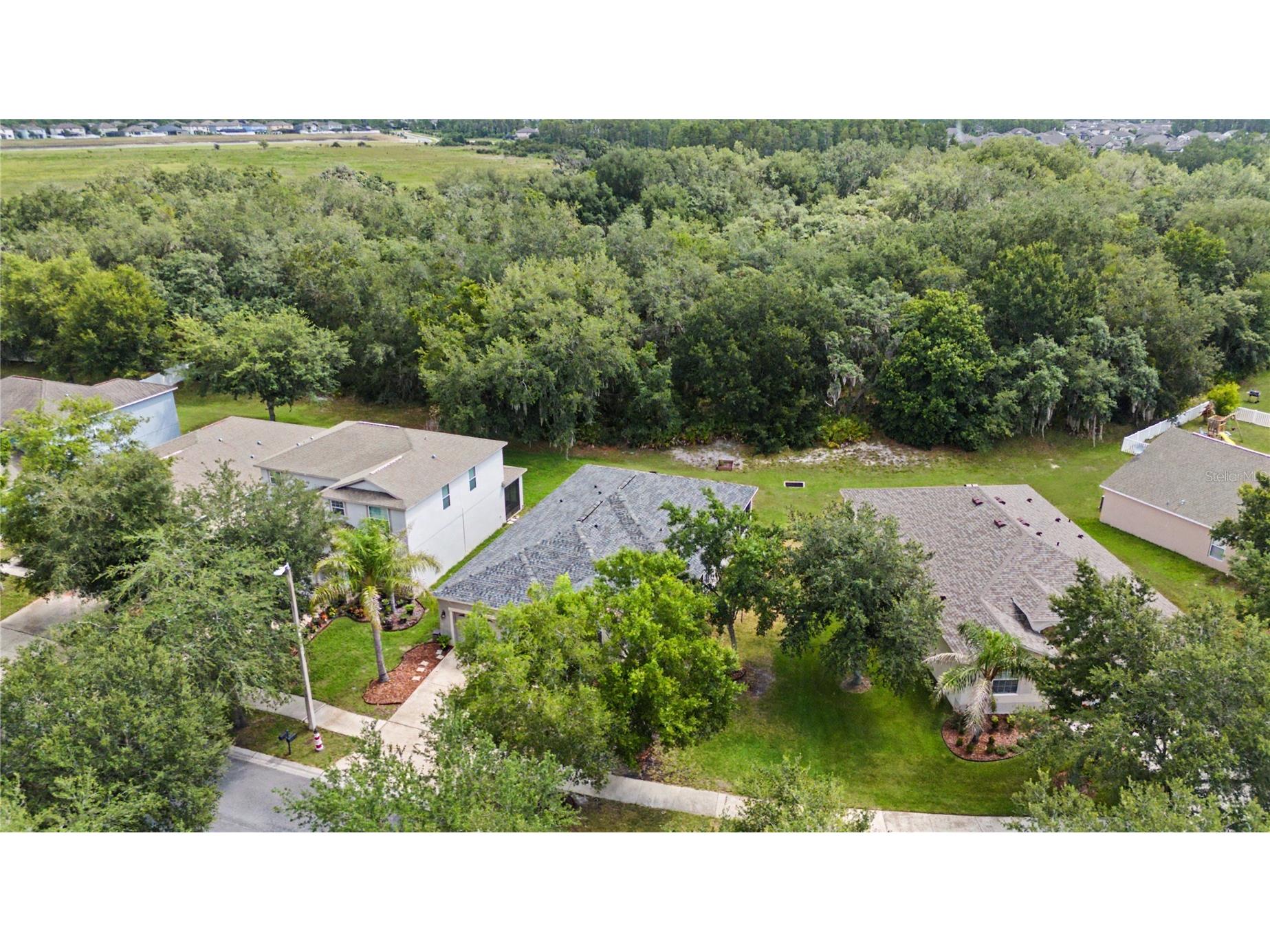 10634 Lucaya Drive Tampa FL 33647 TB8521504 image23