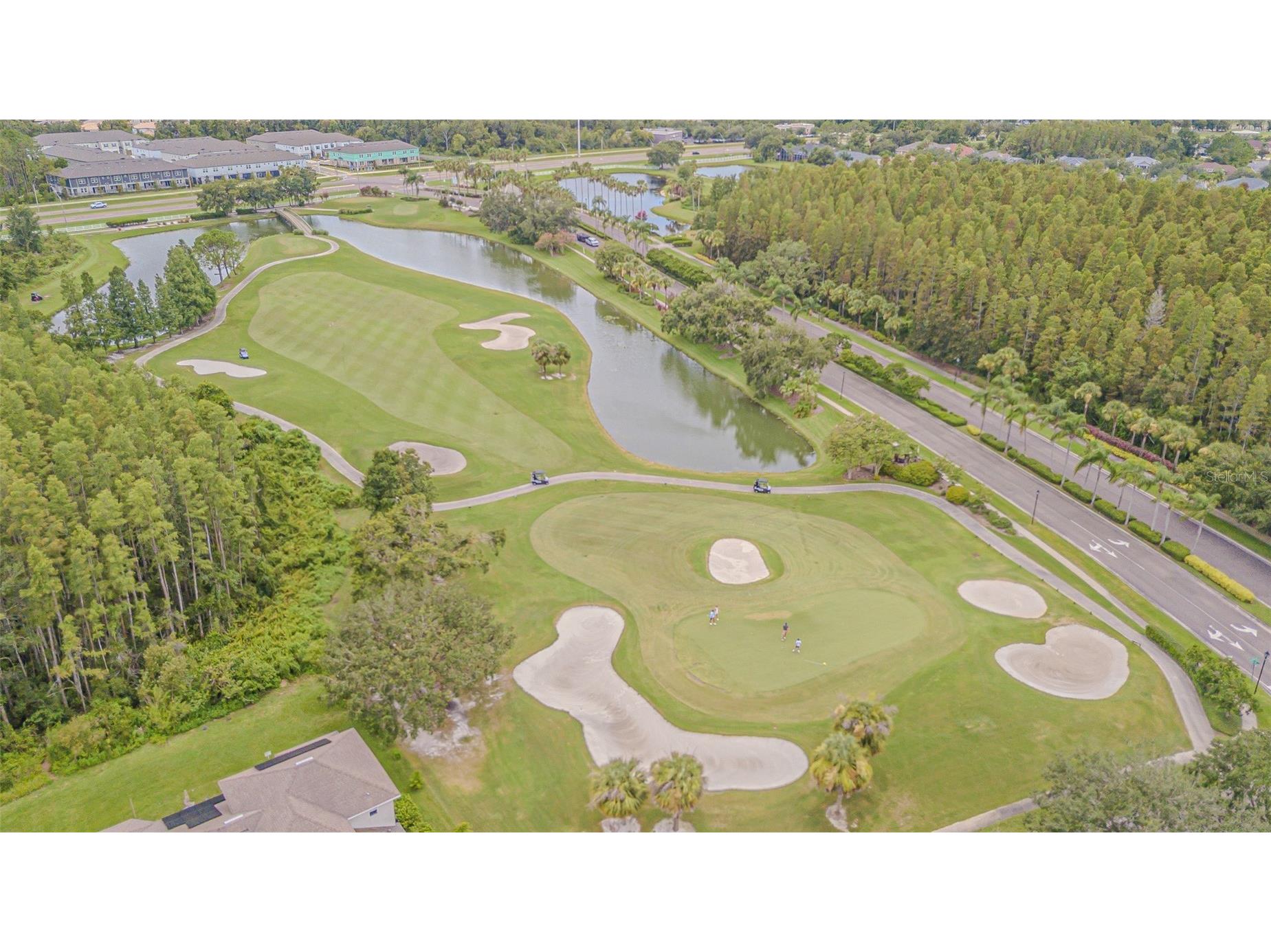 10634 Lucaya Drive Tampa FL 33647 TB8521504 image48
