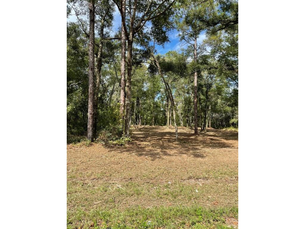 10634 N Mataro Avenue Citrus Springs FL 34434 T3551390 image1