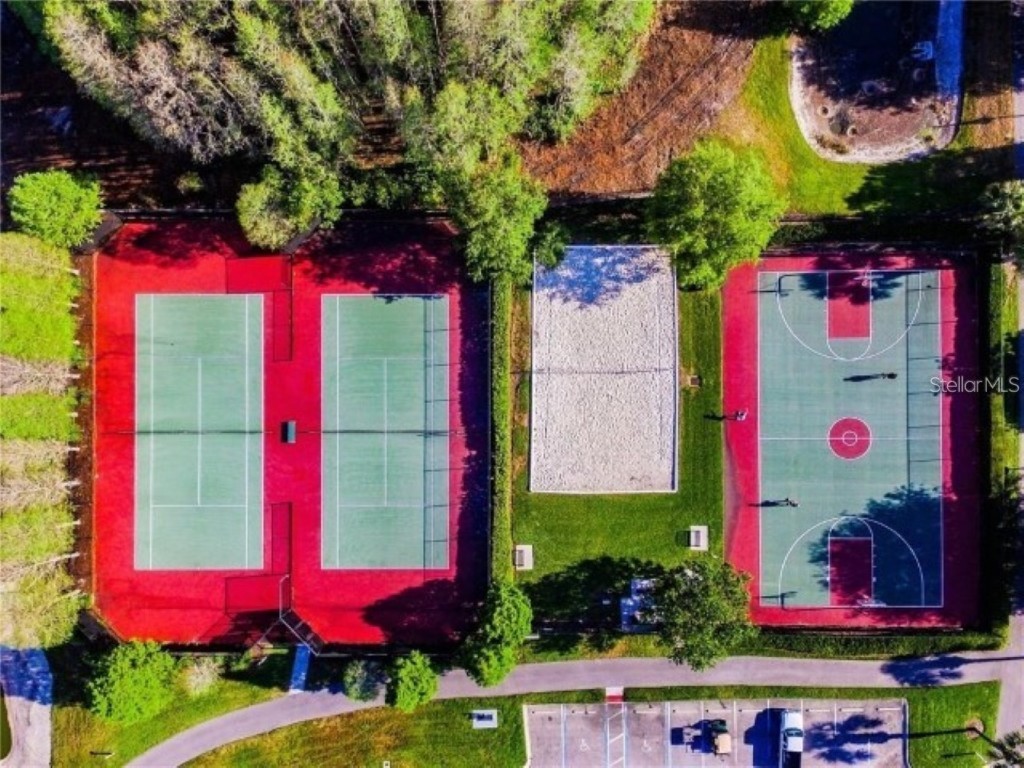 10635 Marsha Drive New Port Richey FL 34655 TB8450813 image25