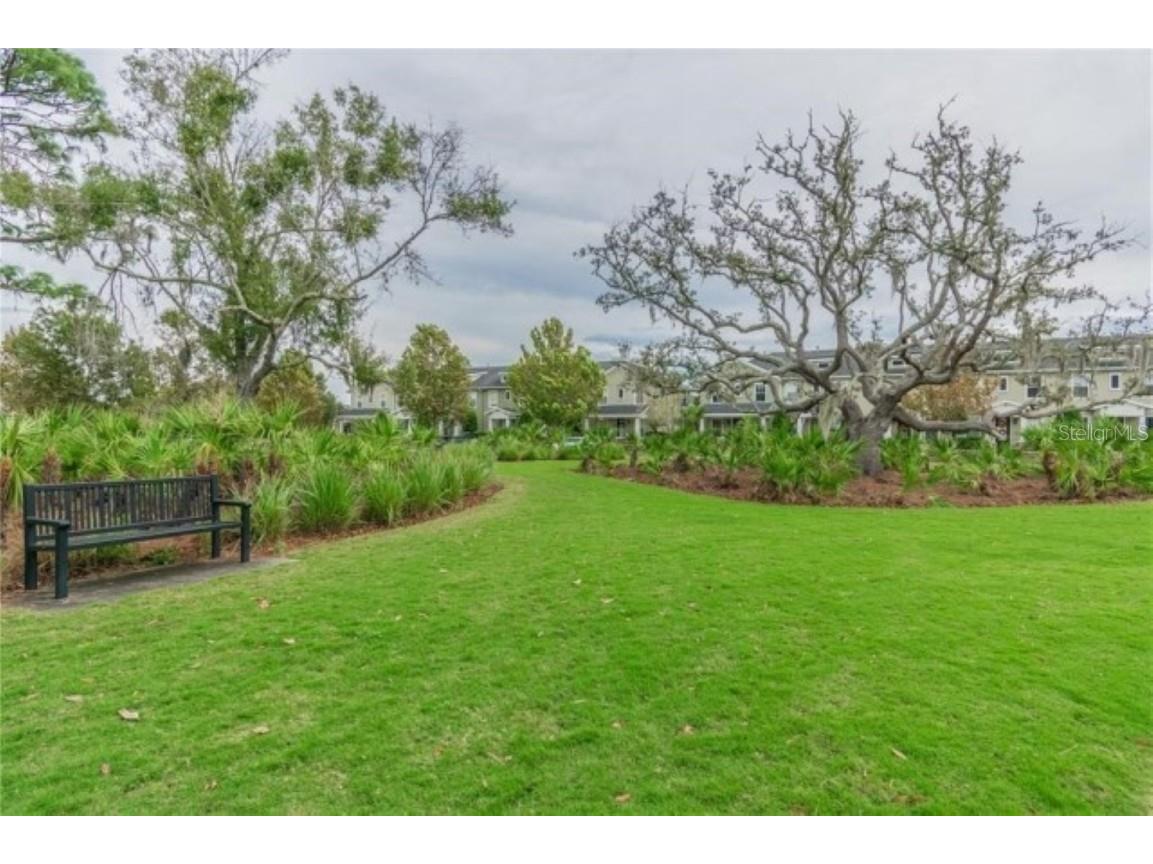 10635 Marsha Drive New Port Richey FL 34655 TB8450813 image30