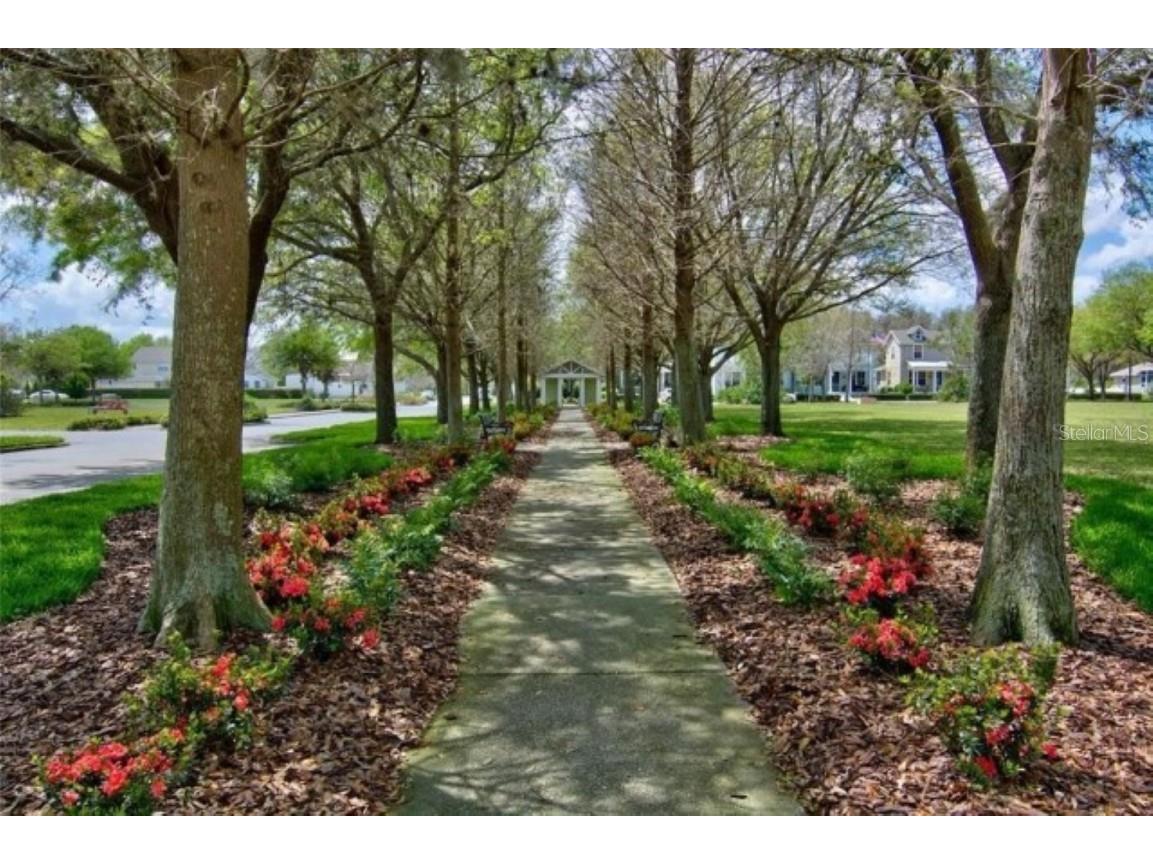 10635 Marsha Drive New Port Richey FL 34655 TB8450813 image31