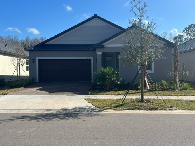 10636 Banyan Breeze Boulevard Land O Lakes FL 34638 T3491130 image1