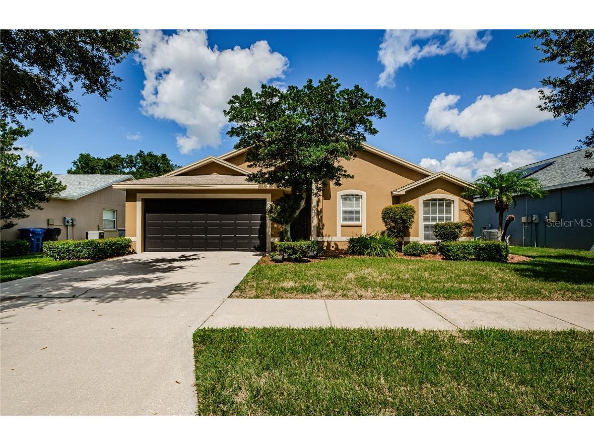 10636 Carloway Hills Drive Wimauma FL 33598 U8208345 image1