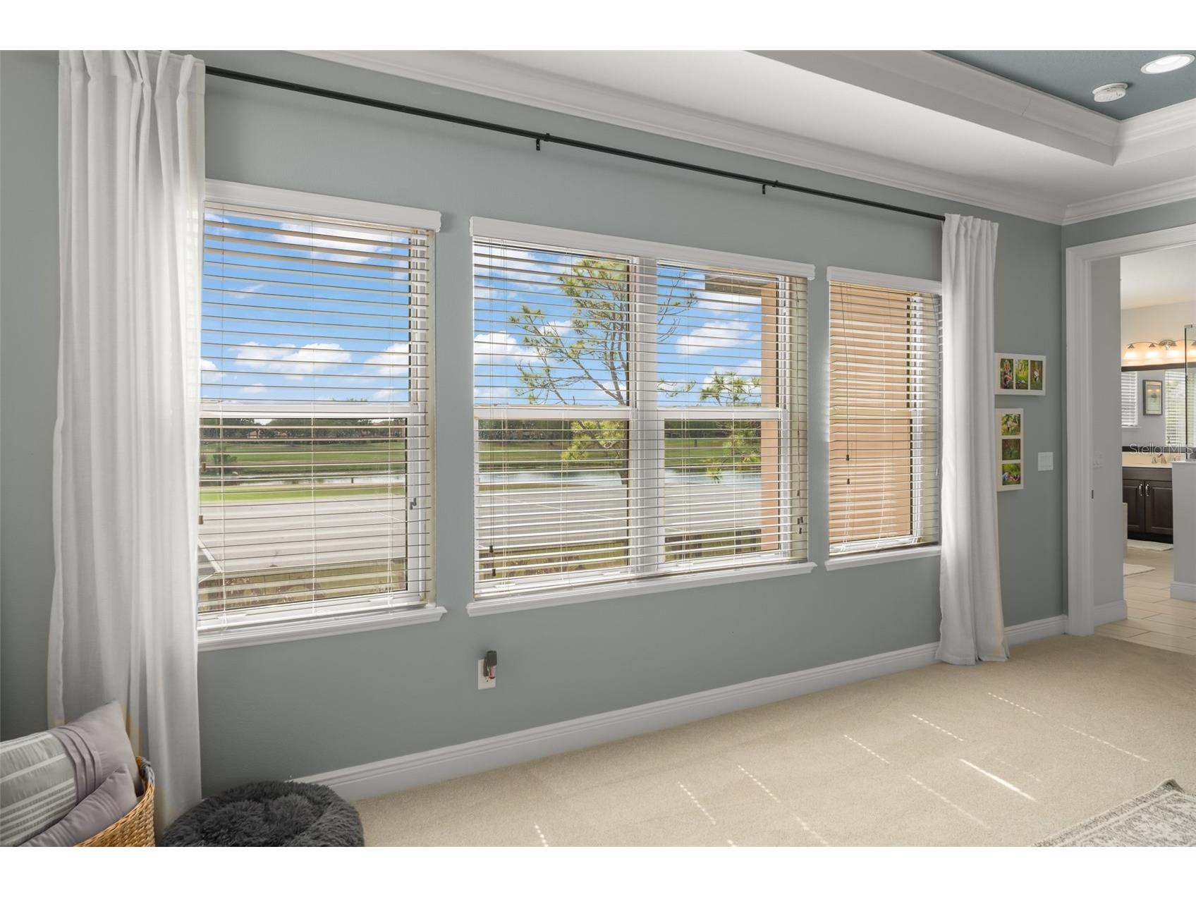 10636 Gawsworth Point Orlando FL 32832 O6389908 image31