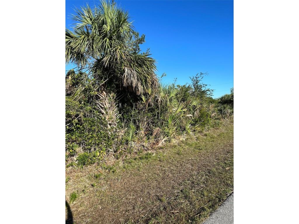 10637 Alpaca Circle Port Charlotte FL 33981 A4573198 image1