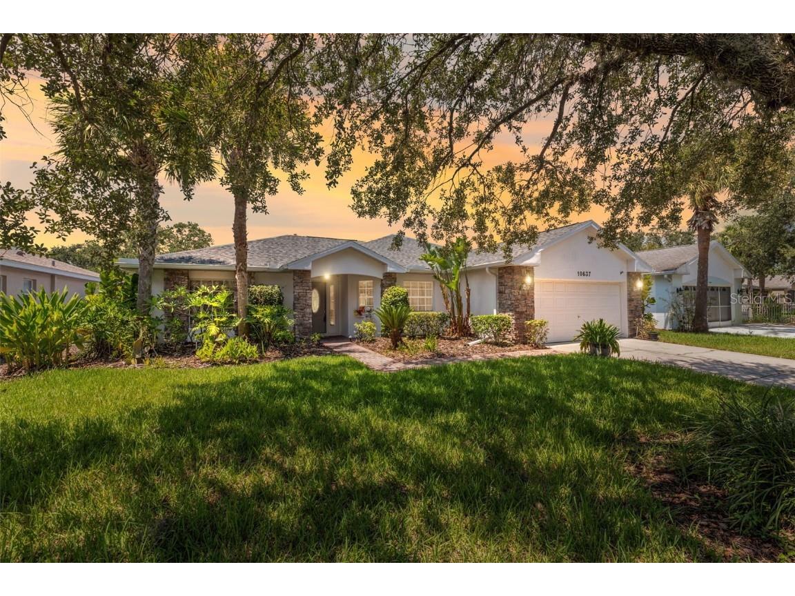 10637 Collar Drive San Antonio FL 33576 T3516856 image1