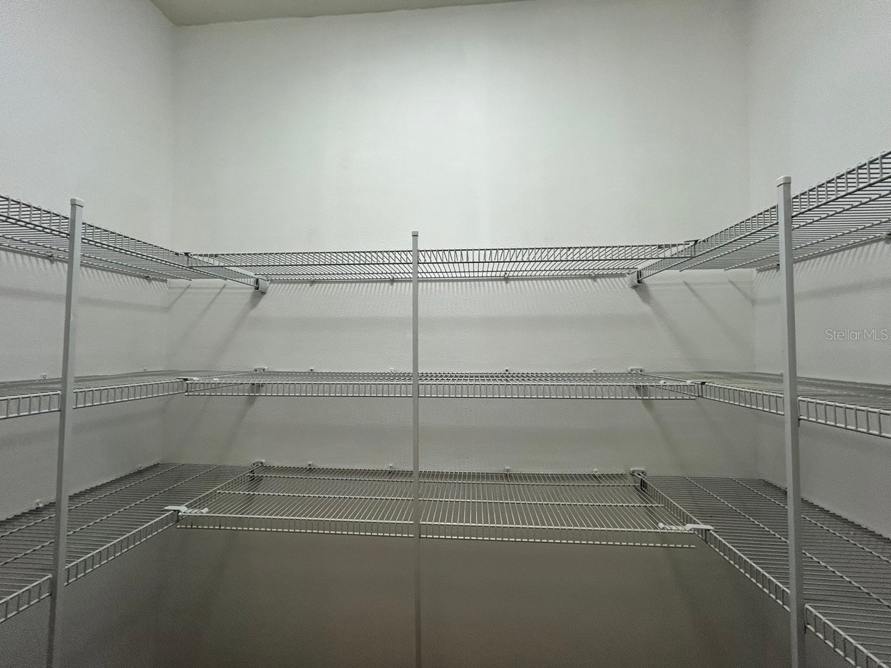 10638 Aldo Moro Drive Wimauma FL 33598 TB8483914 image10