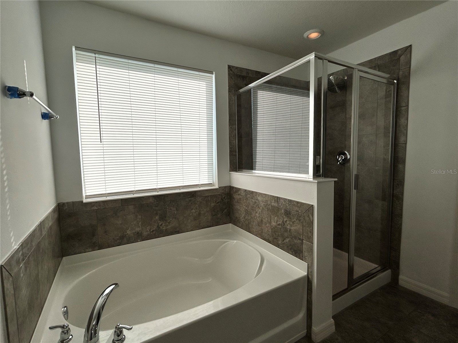 10638 Aldo Moro Drive Wimauma FL 33598 TB8483914 image17