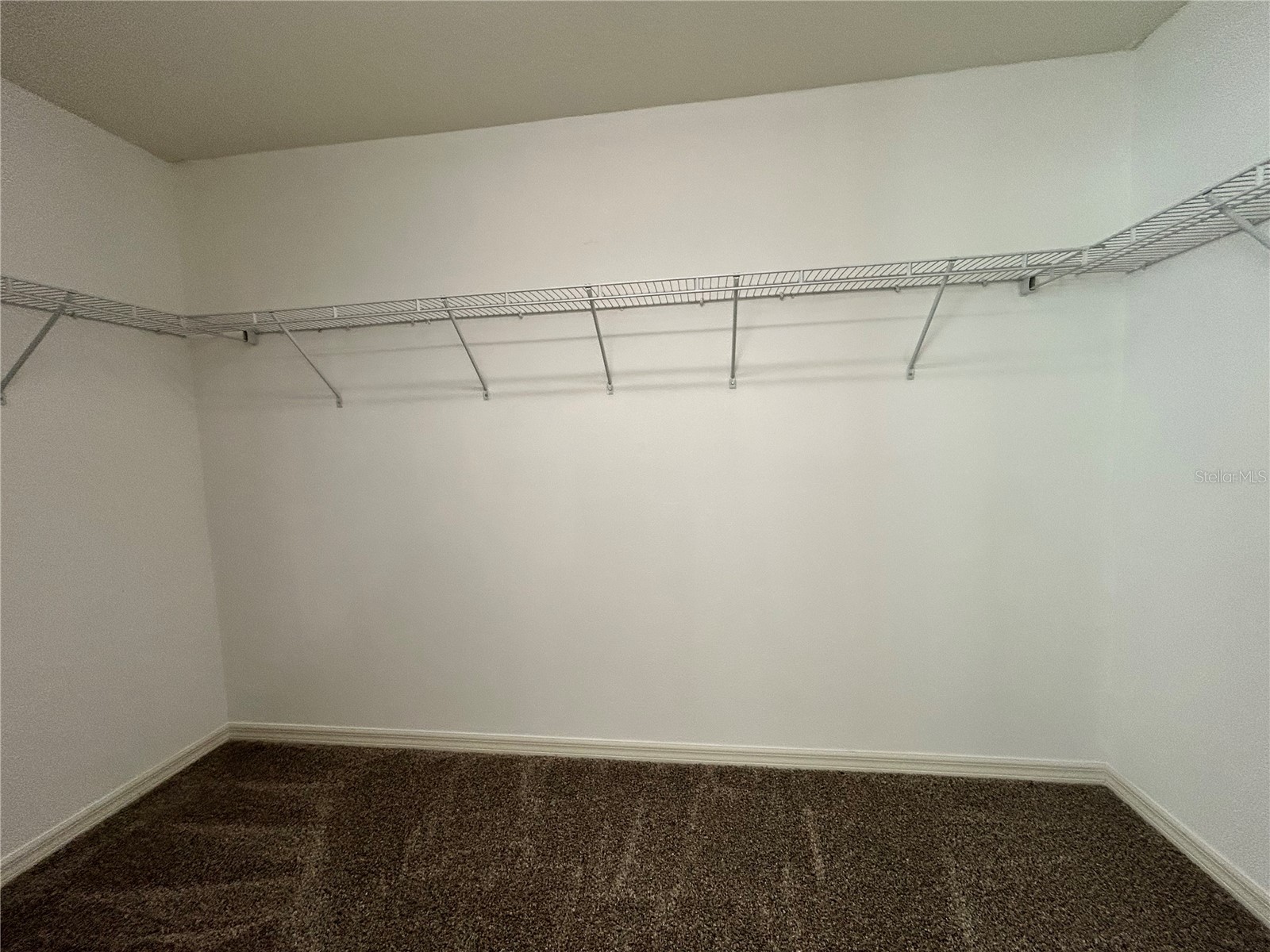 10638 Aldo Moro Drive Wimauma FL 33598 TB8483914 image18