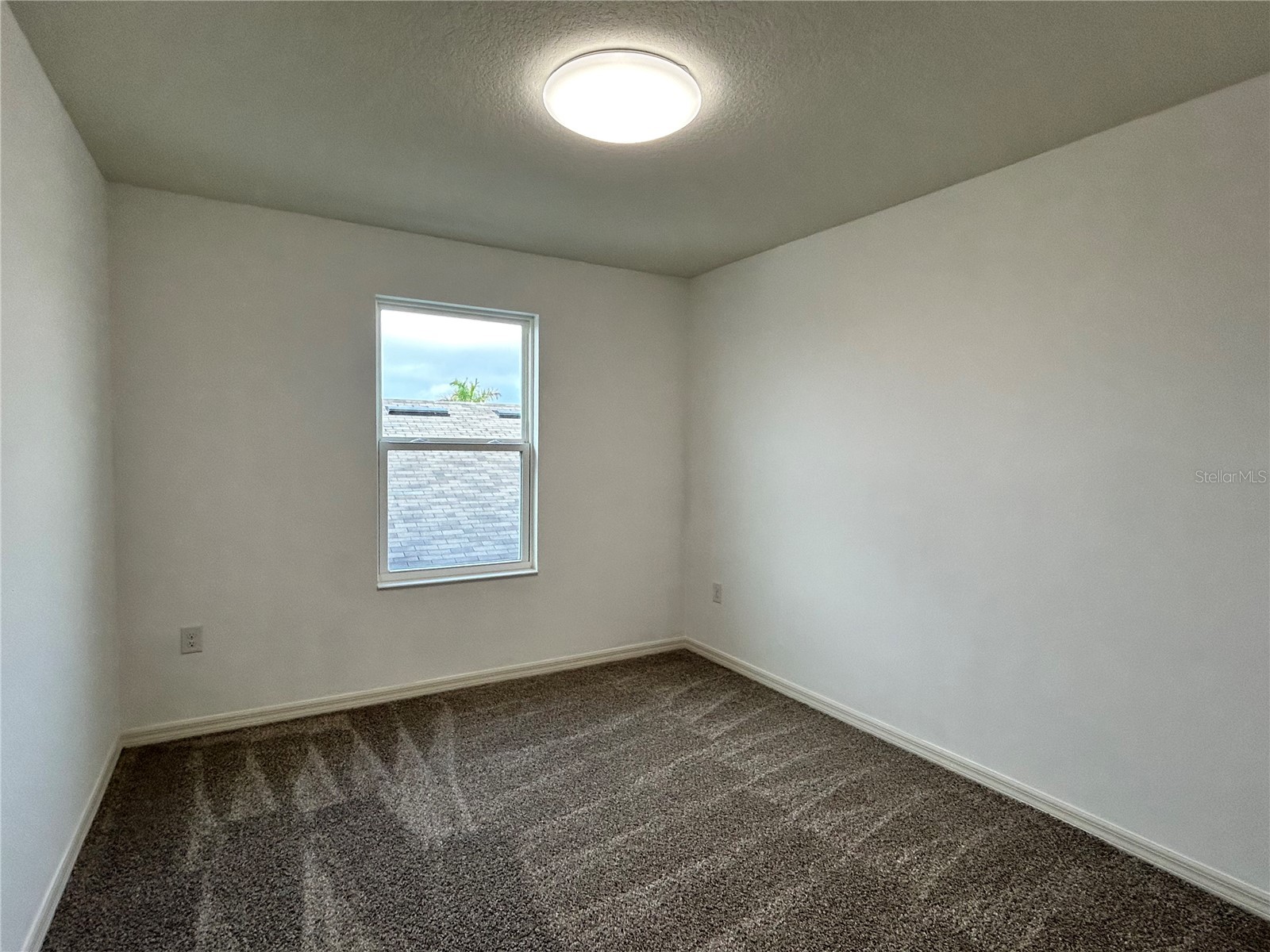 10638 Aldo Moro Drive Wimauma FL 33598 TB8483914 image21