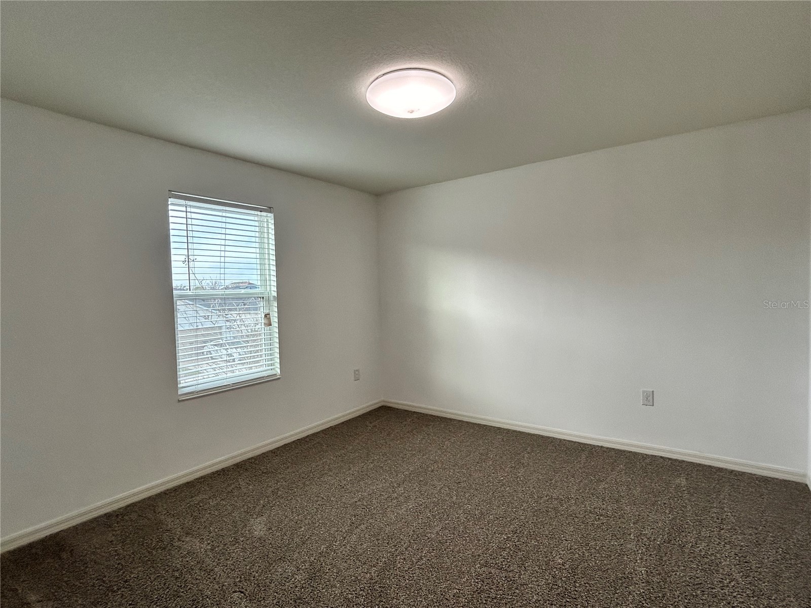 10638 Aldo Moro Drive Wimauma FL 33598 TB8483914 image24