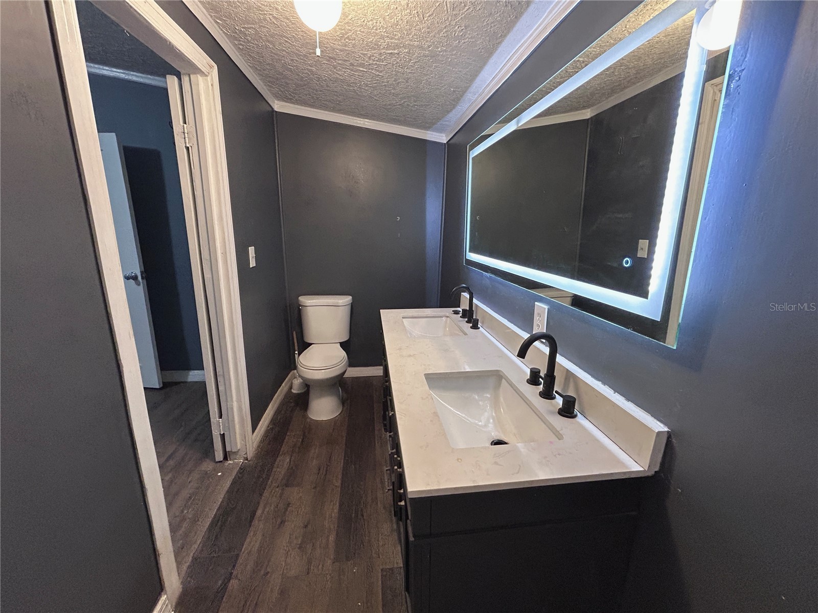 10638 Bay Hills Circle Thonotosassa FL 33592 TB8489693 image13