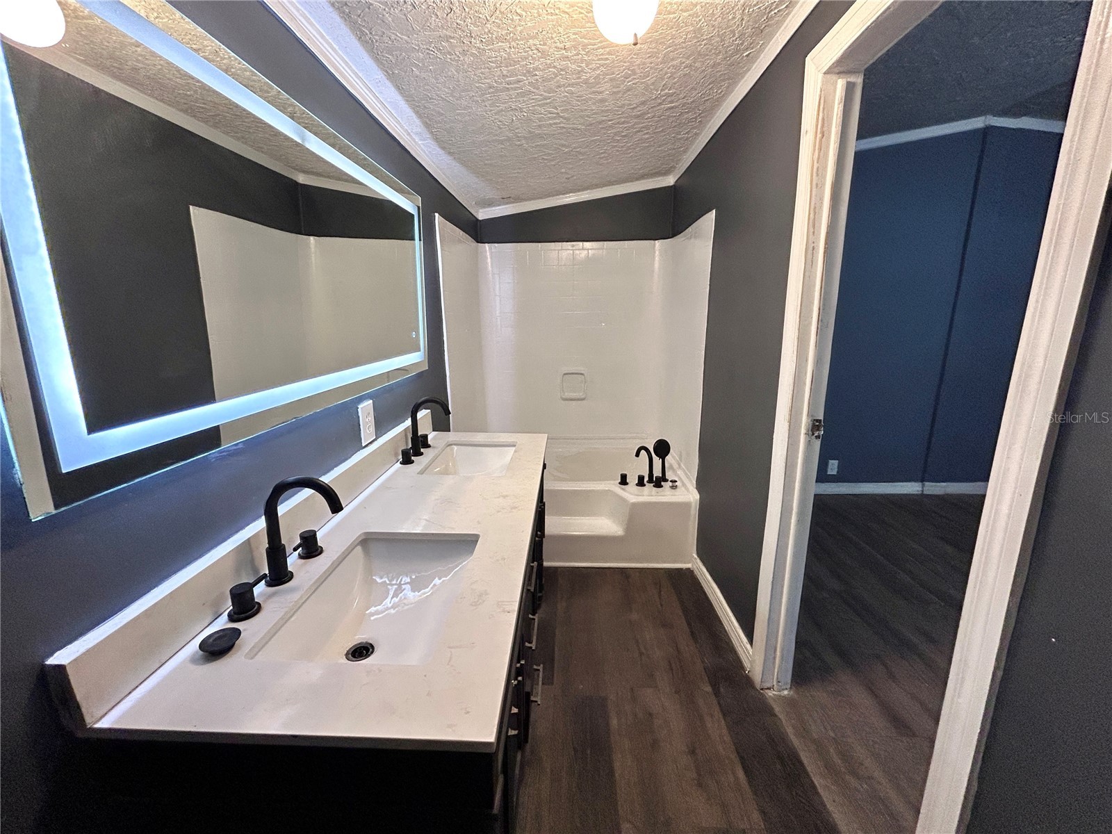 10638 Bay Hills Circle Thonotosassa FL 33592 TB8489693 image14