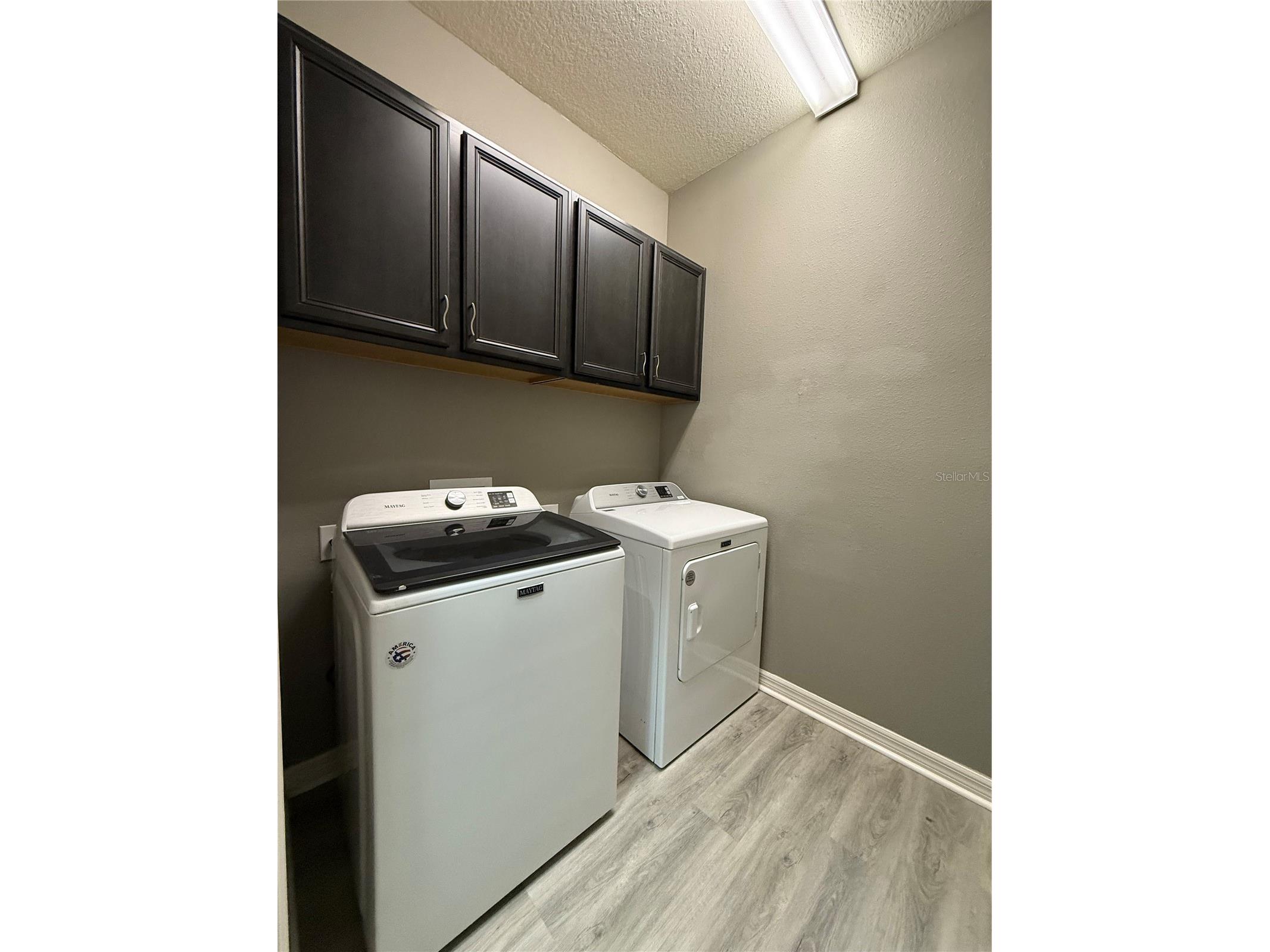 10638 Laguna Plains Drive Riverview FL 33578 TB8514541 image37