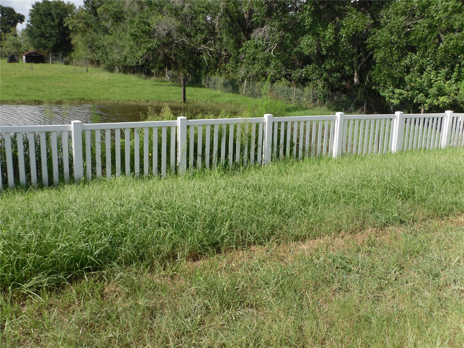 10638 Laguna Plains Drive Riverview FL 33578 TB8514541 image42