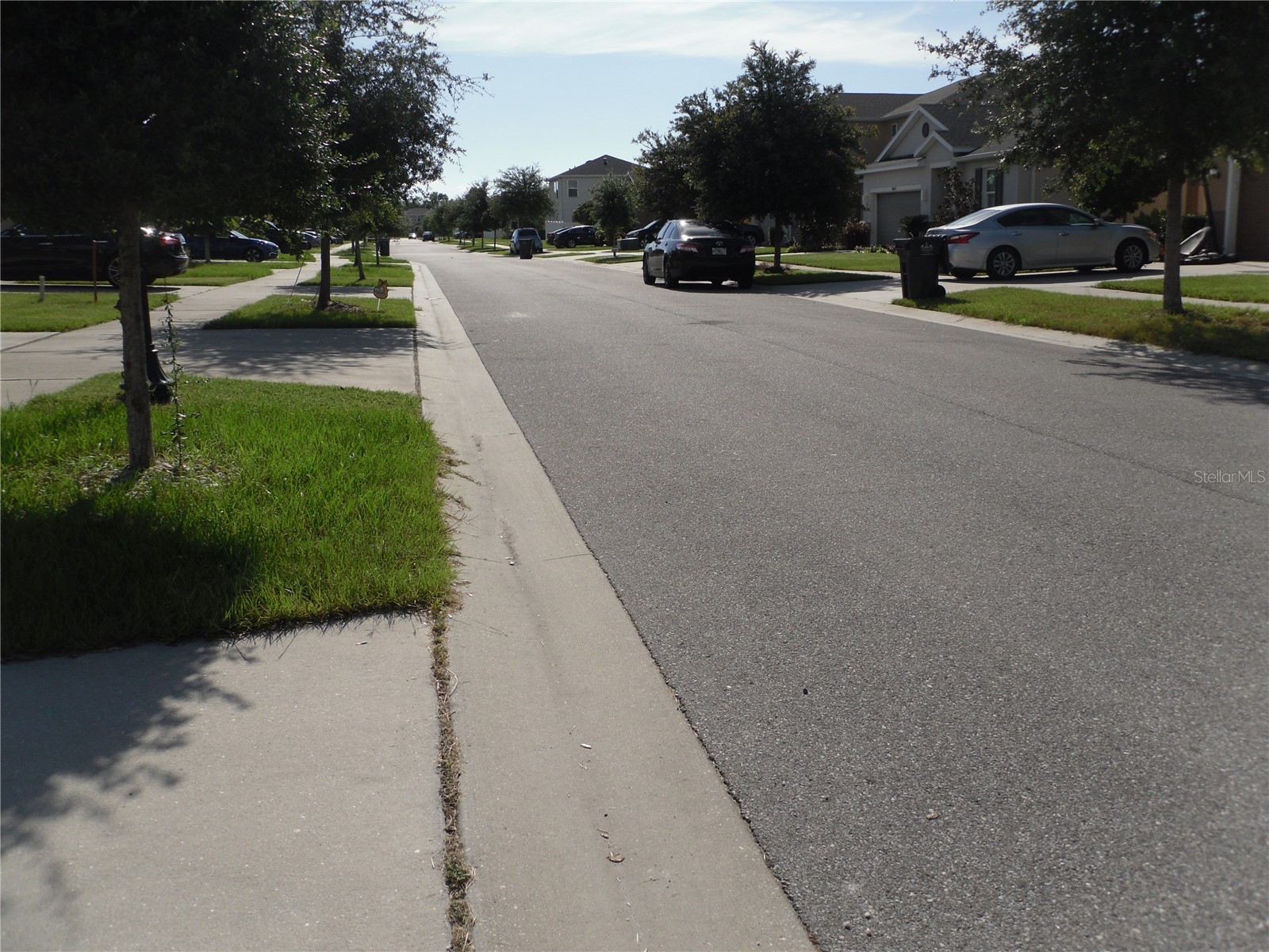 10638 Laguna Plains Drive Riverview FL 33578 TB8514541 image44